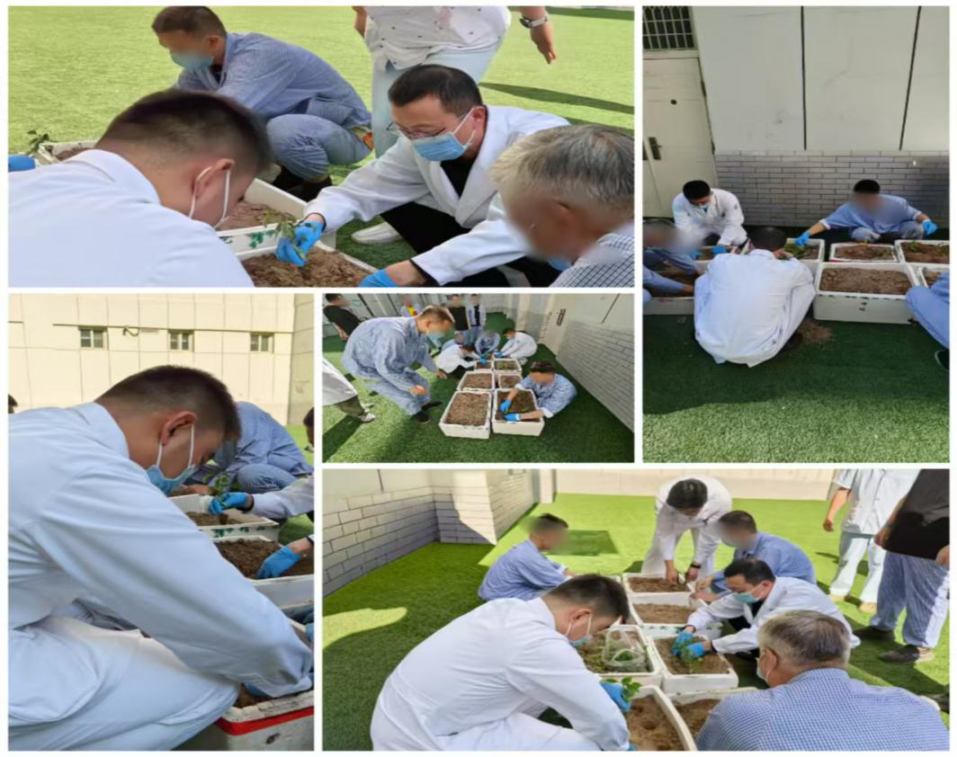 绿意沁心 银发耕梦——老年精神科种植疗愈暖心护理活动纪实