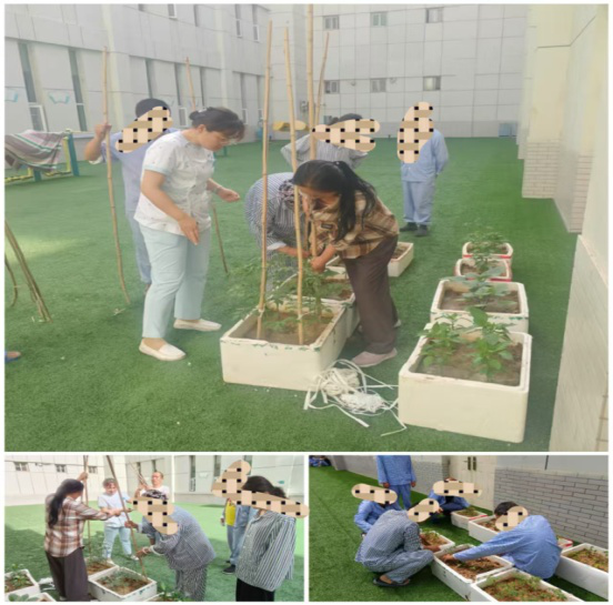 暖心藤架——在泥土与藤蔓间生长的疗愈力量