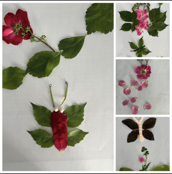 指尖生花 心向暖阳——情感障碍女科开展DIY暖心护理康复活动