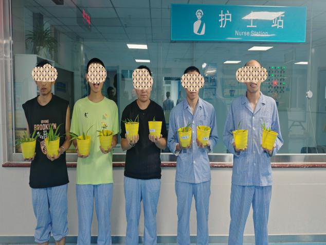 向上生长的力量